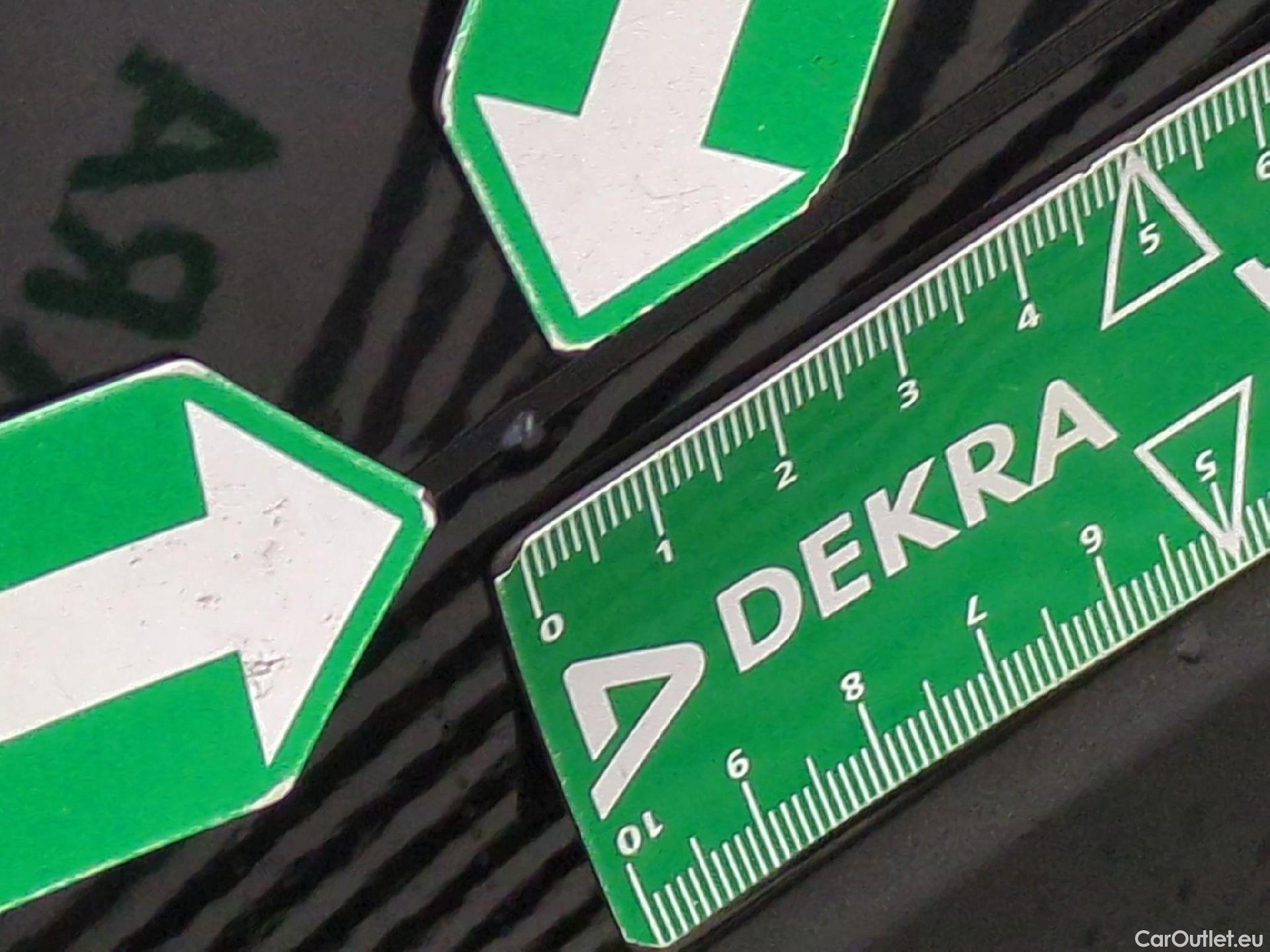  Skoda  Kodiaq  Business 2.0 TDI 150CV BVA7 E6d #8