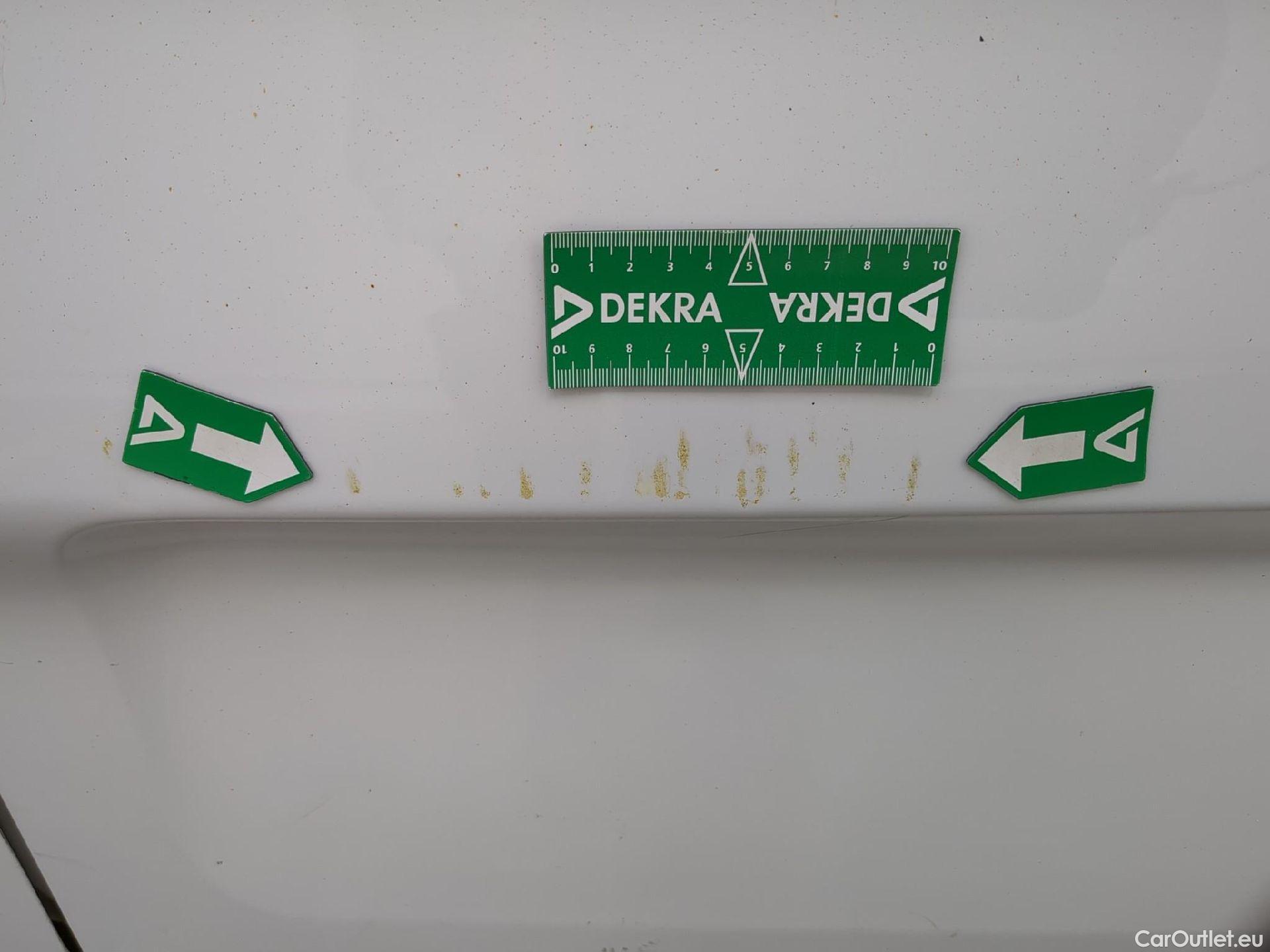  Renault  Trafic RENAULT  / 2019 / 4P / Fourgon tole FG GCF L1H1 1200 Energy dCi 145 BVA #13