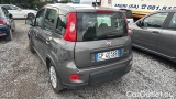  Fiat  Panda 1.0 FireFly 70cv S&S Hybrid #3