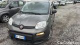 Fiat  Panda 1.0 FireFly 70cv S&S Hybrid #2