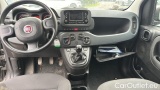  Fiat  Panda 1.0 FireFly 70cv S&S Hybrid #5