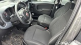  Fiat  Panda 1.0 FireFly 70cv S&S Hybrid #6