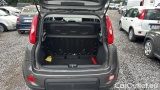  Fiat  Panda 1.0 FireFly 70cv S&S Hybrid #10