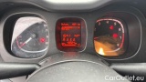  Fiat  Panda 1.0 FireFly 70cv S&S Hybrid #13