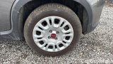  Fiat  Panda 1.0 FireFly 70cv S&S Hybrid #14