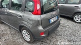  Fiat  Panda 1.0 FireFly 70cv S&S Hybrid #18
