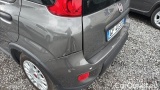  Fiat  Panda 1.0 FireFly 70cv S&S Hybrid #19