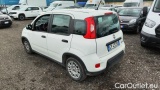  Fiat  Panda 1.0 FireFly 70cv S&S Hybrid #3