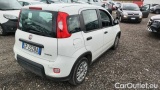  Fiat  Panda 1.0 FireFly 70cv S&S Hybrid #4