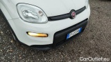  Fiat  Panda 1.0 FireFly 70cv S&S Hybrid #24