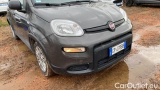  Fiat  Panda 1.0 FireFly 70cv S&S Hybrid #2