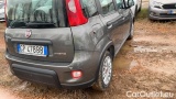  Fiat  Panda 1.0 FireFly 70cv S&S Hybrid #4
