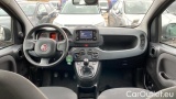  Fiat  Panda 1.0 FireFly 70cv S&S Hybrid #7