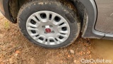  Fiat  Panda 1.0 FireFly 70cv S&S Hybrid #16
