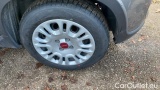  Fiat  Panda 1.0 FireFly 70cv S&S Hybrid #14