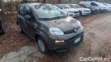  Fiat  Panda 1.0 FireFly 70cv S&S Hybrid #2