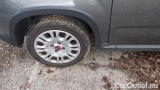  Fiat  Panda 1.0 FireFly 70cv S&S Hybrid #14