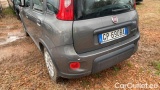  Fiat  Panda 1.0 FireFly 70cv S&S Hybrid #3
