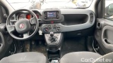  Fiat  Panda 1.0 FireFly 70cv S&S Hybrid #7
