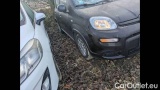  Fiat  Panda 1.0 FireFly 70cv S&S Hybrid #2