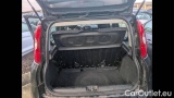  Fiat  Panda 1.0 FireFly 70cv S&S Hybrid #11