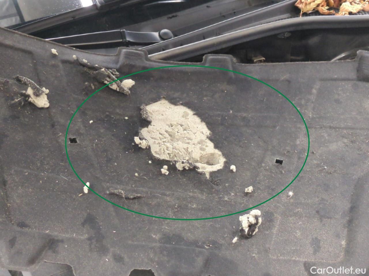  Audi  Q3  35 TDI S line 2.0 TDI 150CV BVA7 E6d #12