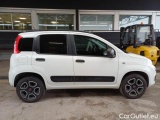  Fiat  Panda FIAT  / 2012 / 5P / BERLINA 900CC 85CV VAN EU6D 4X4 2P.POP #7