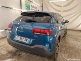 C4 Cactus