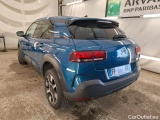C4 Cactus