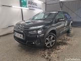 C4 Cactus