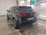 C4 Cactus