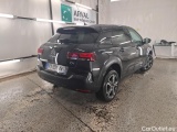 C4 Cactus