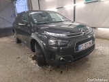 C4 Cactus