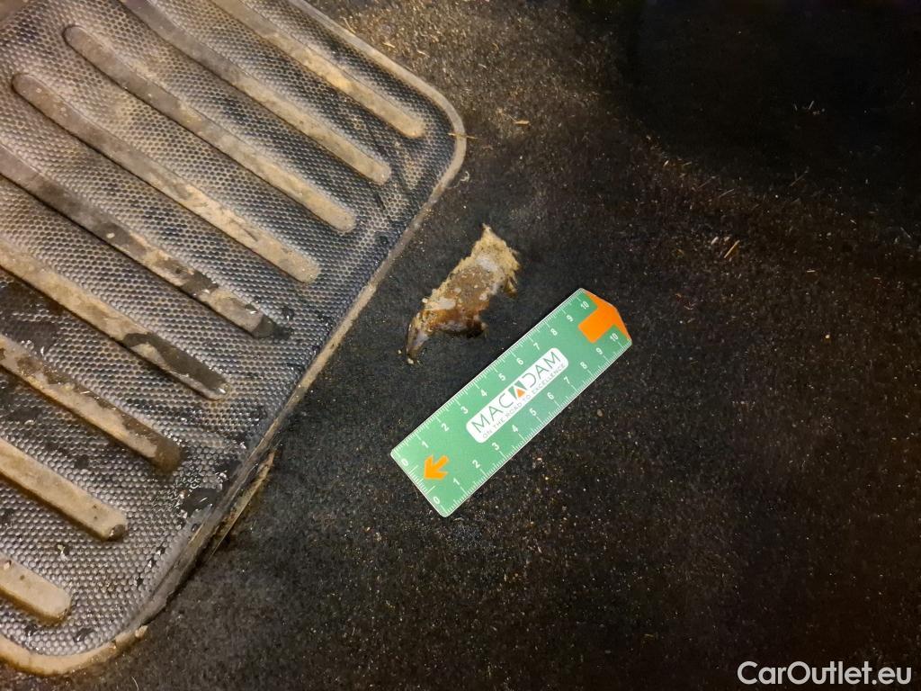  Citroen  C4 Cactus  Feel Business 1.5 BlueHDi 100CV BVM6 E6d #17