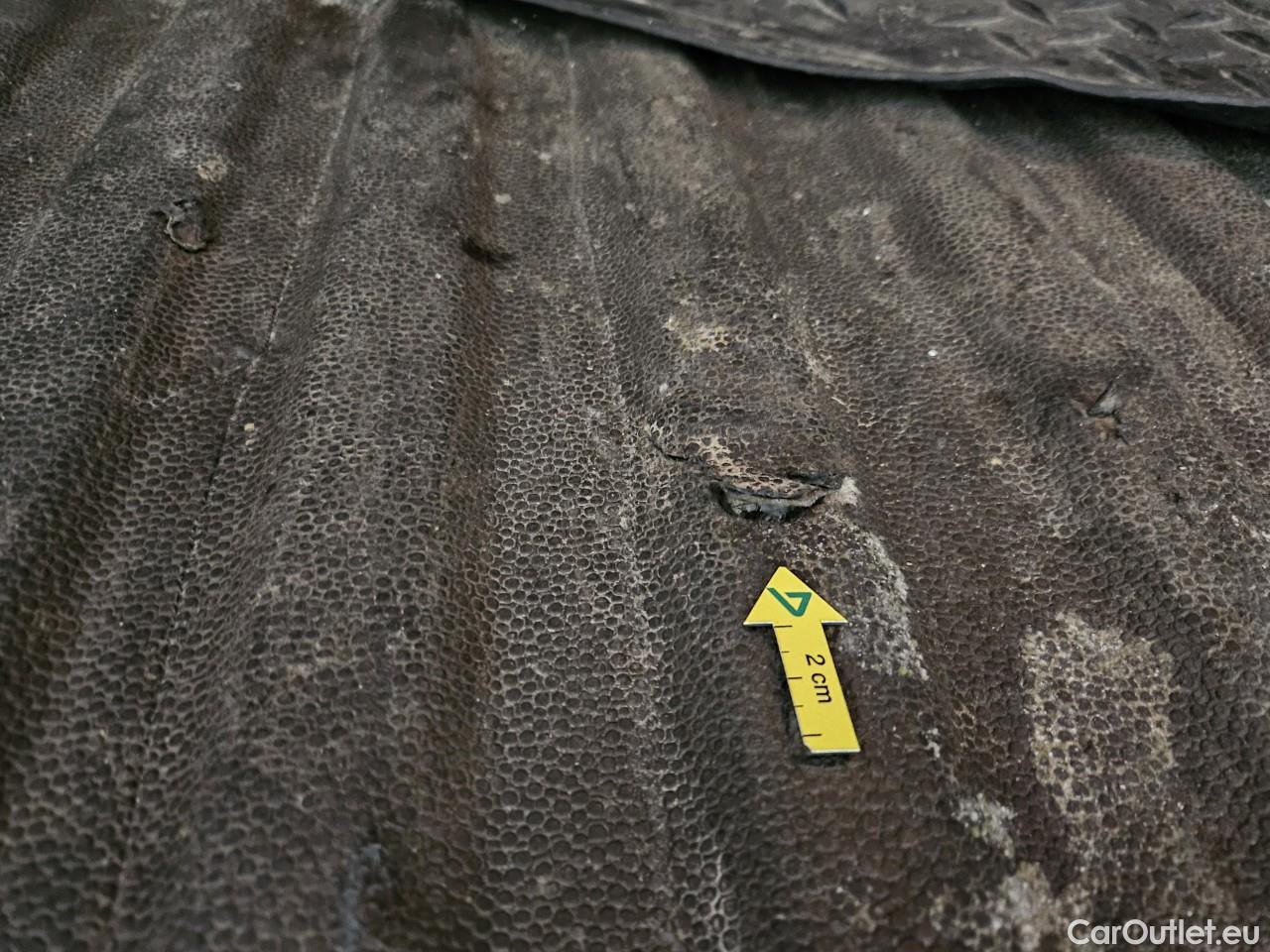  Ford  Transit 1.5 TDCi 100CP Trend #60