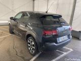 C4 Cactus