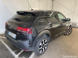 C4 Cactus