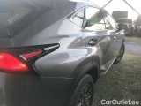  Lexus  NX 2.5 300H PACK BUSINESS STAGE 2WD AUTO #42