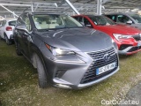  Lexus  NX 2.5 300H PACK BUSINESS STAGE 2WD AUTO #43