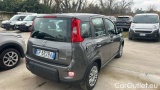  Fiat  Panda 1.0 FireFly 70cv S&S Hybrid #4