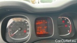 Fiat  Panda 1.0 FireFly 70cv S&S Hybrid #13
