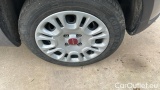  Fiat  Panda 1.0 FireFly 70cv S&S Hybrid #14