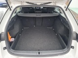  Skoda  Octavia  Combi (NX3)(2020) Oct.Combi 1.5TSI 110 Ambition #17