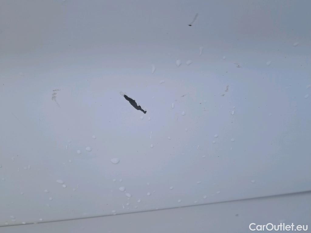  Renault  Trafic RENAULT  / 2019 / 4P / furgón Furgón 27 L1H1 Energy BluedCi 88 kW (AC) #31