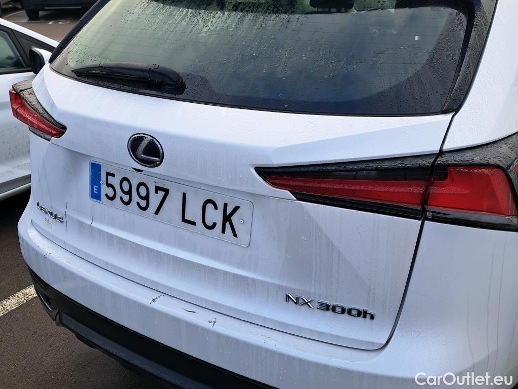  Lexus  NX LEXUS  / 2017 / 5P / todoterreno 2.5 300h Business Navigation 2WD (CX) #25