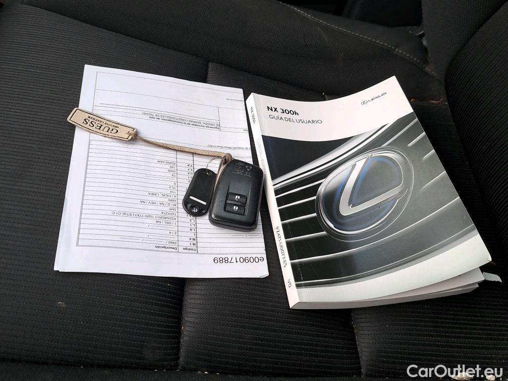  Lexus  NX LEXUS  / 2017 / 5P / todoterreno 2.5 300h Business Navigation 2WD (CX) #19