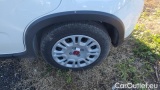  Fiat  Panda 1.0 FireFly 70cv S&S Hybrid #14
