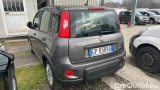  Fiat  Panda 1.0 FireFly 70cv S&S Hybrid #3