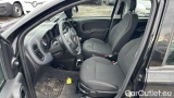  Fiat  Panda 1.0 FireFly 70cv S&S Hybrid #6
