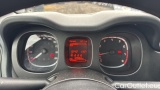  Fiat  Panda 1.0 FireFly 70cv S&S Hybrid #12